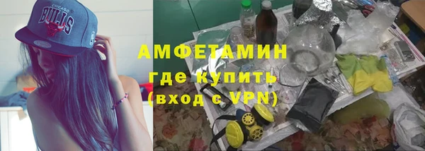 шишки Абаза