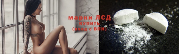 шишки Абаза