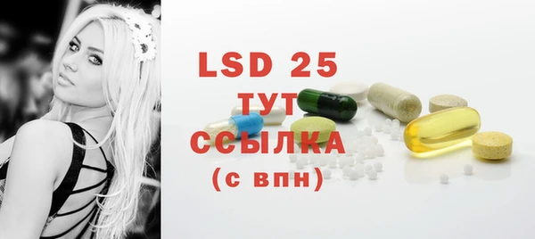 шишки Абаза