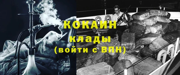 шишки Абаза