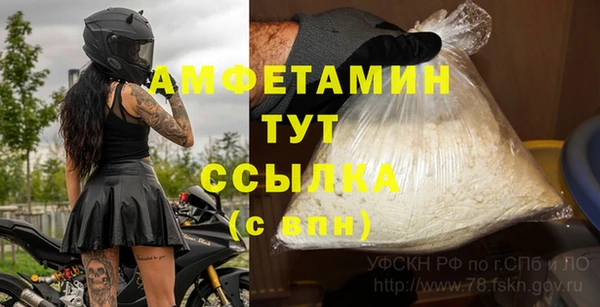 шишки Абаза