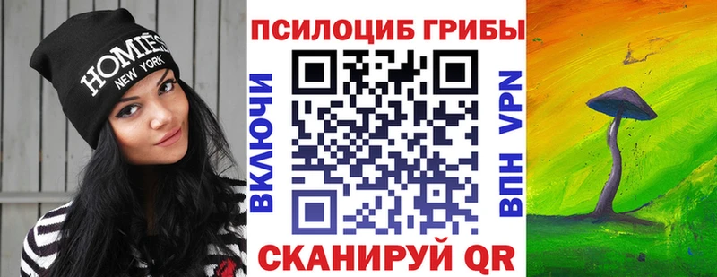 OMG онион  купить наркотик  Торжок  Галлюциногенные грибы Cubensis 