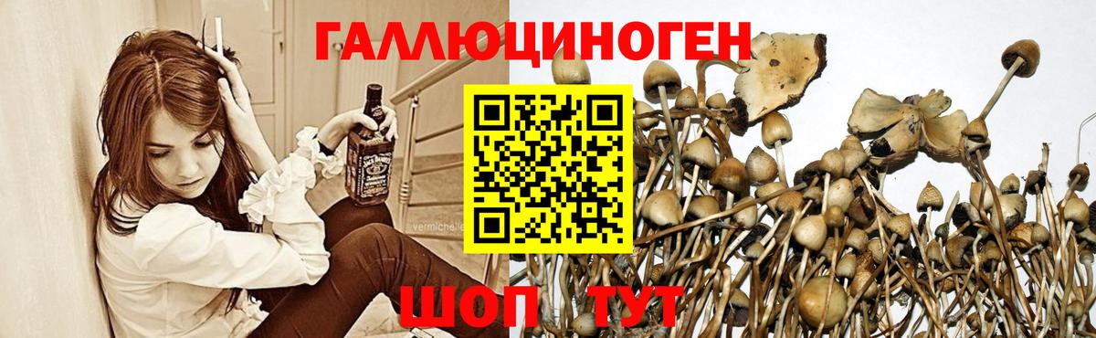 Галлюциногенные грибы мицелий Торжок